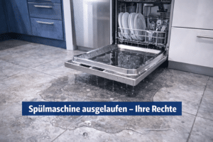 geschirrspüler leck