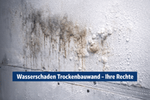 rigips nass versicherung
